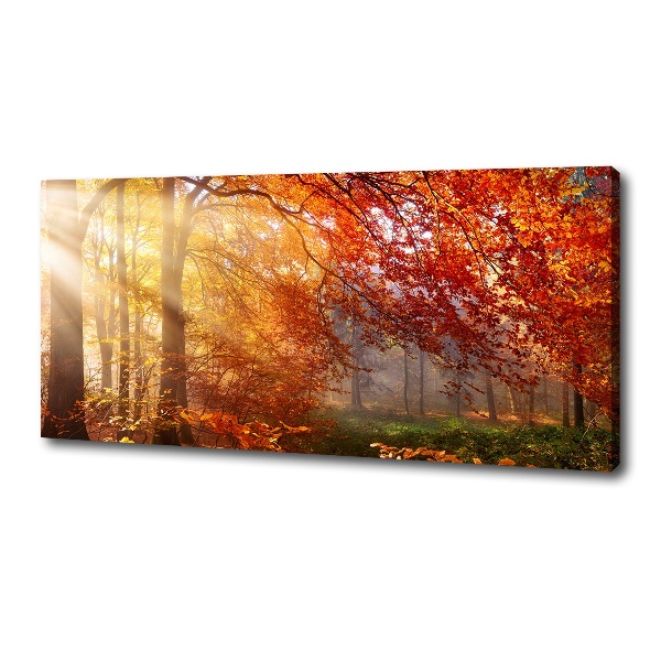 Cuadro canvas moderno de gran formato horizontal Bosque de otoño