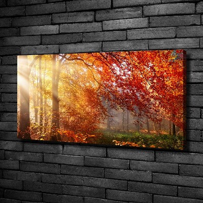 Cuadro canvas moderno de gran formato horizontal Bosque de otoño
