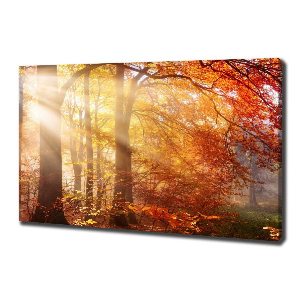 Cuadro canvas moderno de gran formato horizontal Bosque de otoño