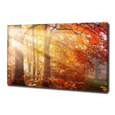Cuadro canvas moderno de gran formato horizontal Bosque de otoño