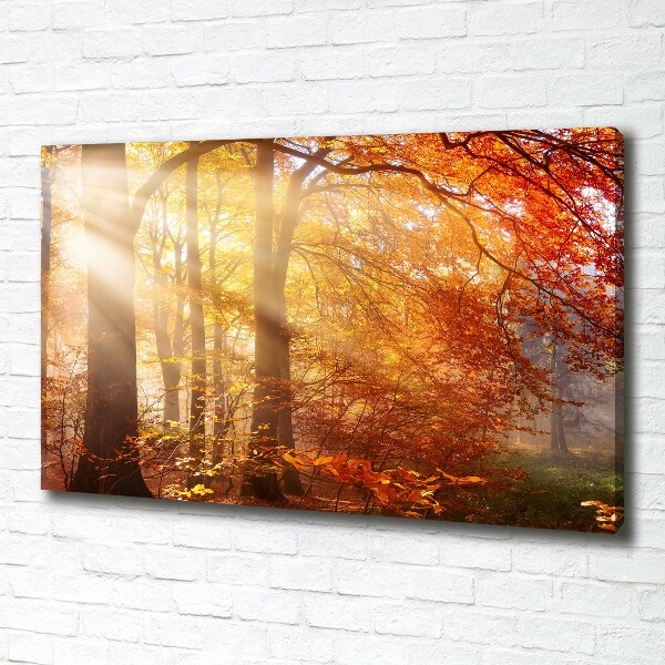 Cuadro canvas moderno de gran formato horizontal Bosque de otoño