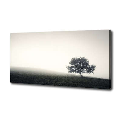 Cuadro canvas con impresión uv duradera horizontal Árbol solitario