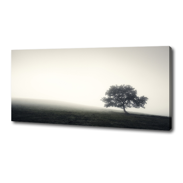 Cuadro canvas con impresión uv duradera horizontal Árbol solitario