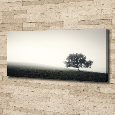 Cuadro canvas con impresión uv duradera horizontal Árbol solitario