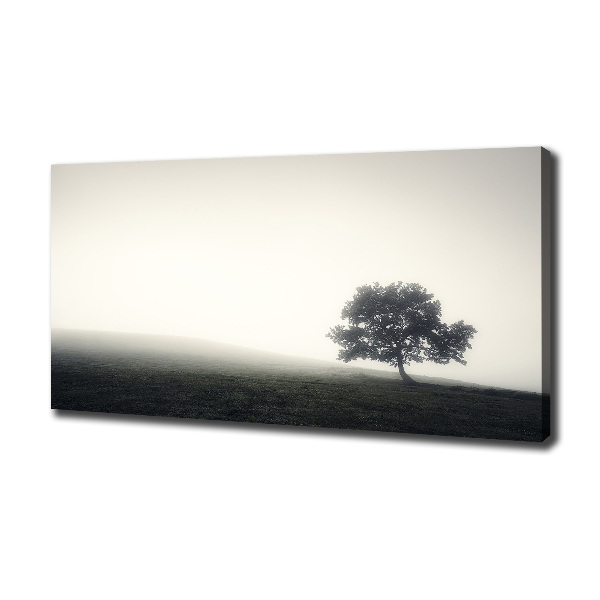 Cuadro canvas con impresión uv duradera horizontal Árbol solitario