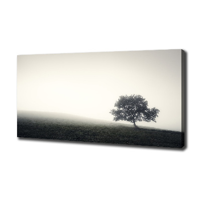 Cuadro canvas con impresión uv duradera horizontal Árbol solitario