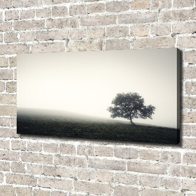 Cuadro canvas con impresión uv duradera horizontal Árbol solitario