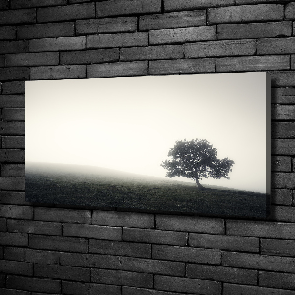Cuadro canvas con impresión uv duradera horizontal Árbol solitario