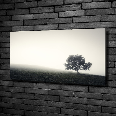 Cuadro canvas con impresión uv duradera horizontal Árbol solitario