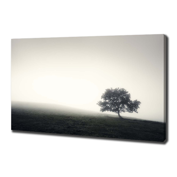 Cuadro canvas con impresión uv duradera horizontal Árbol solitario