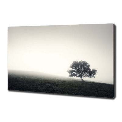 Cuadro canvas con impresión uv duradera horizontal Árbol solitario