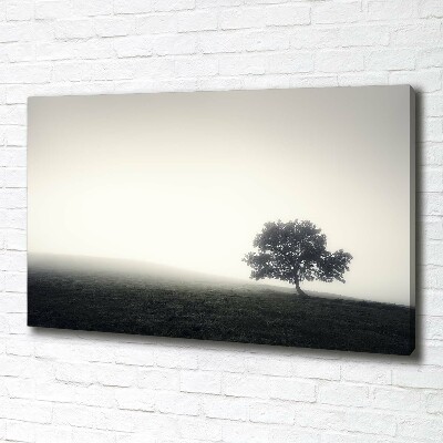 Cuadro canvas con impresión uv duradera horizontal Árbol solitario
