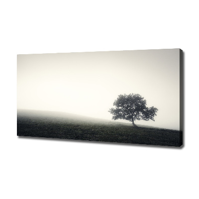 Cuadro canvas con impresión uv duradera horizontal Árbol solitario