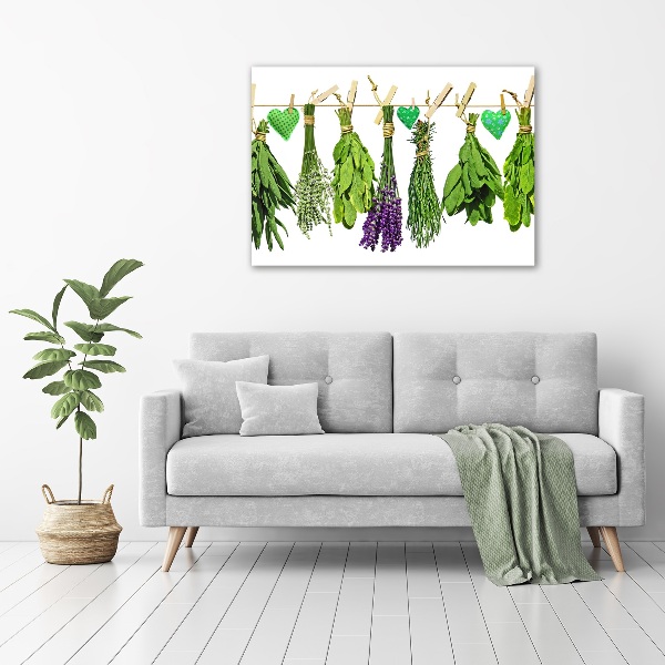 Fotocuadro en lienzo de alta calidad horizontal Hierbas en una cuerda