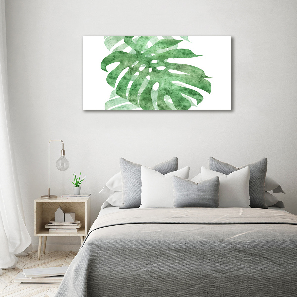 Foto obraz canvas Monstera