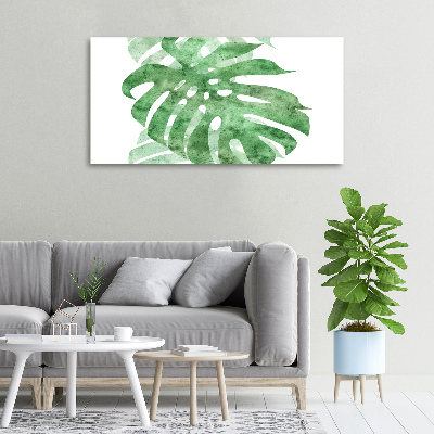 Foto obraz canvas Monstera