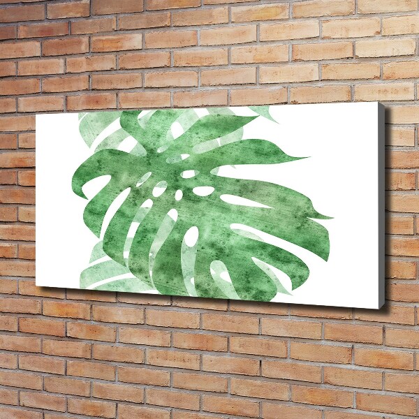 Foto obraz canvas Monstera