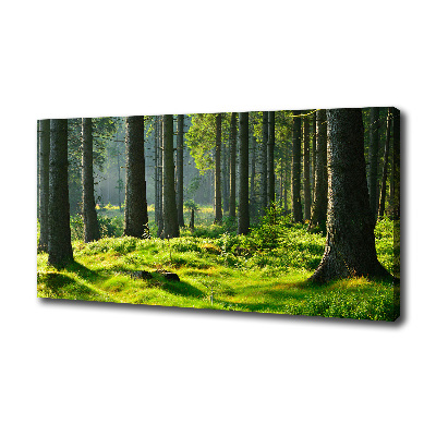 Cuadro canvas moderno de gran formato horizontal Bosque de abetos
