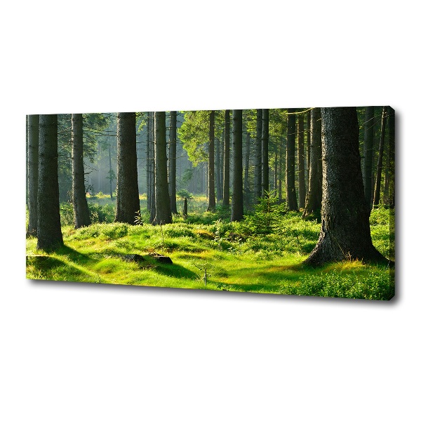 Cuadro canvas moderno de gran formato horizontal Bosque de abetos