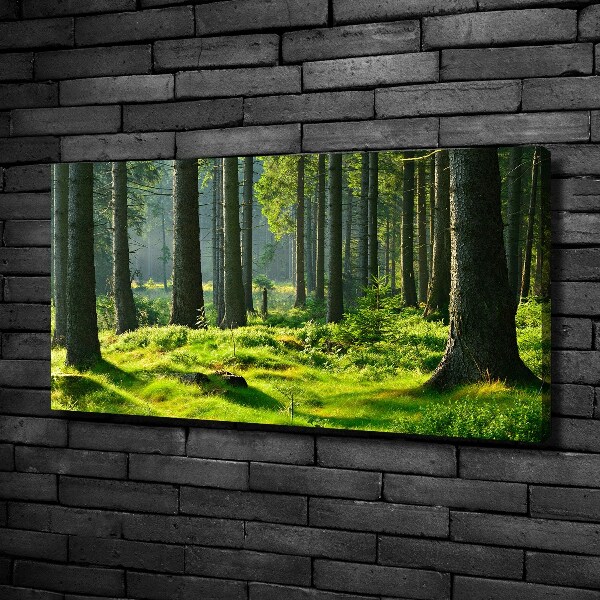 Cuadro canvas moderno de gran formato horizontal Bosque de abetos