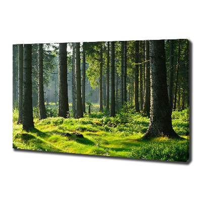 Cuadro canvas moderno de gran formato horizontal Bosque de abetos