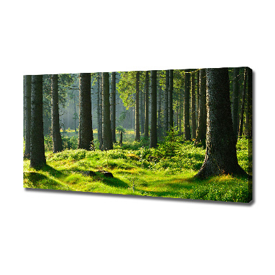 Cuadro canvas moderno de gran formato horizontal Bosque de abetos