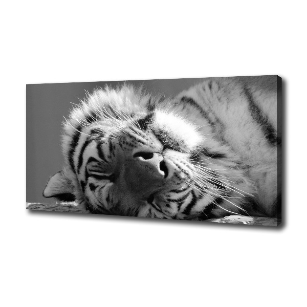 Fotocuadro en lienzo de alta calidad horizontal Tigre dormido