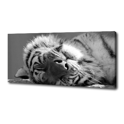 Fotocuadro en lienzo de alta calidad horizontal Tigre dormido