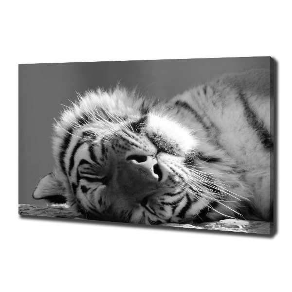 Fotocuadro en lienzo de alta calidad horizontal Tigre dormido