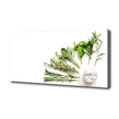 Foto en lienzo con acabado profesional horizontal Hierbas