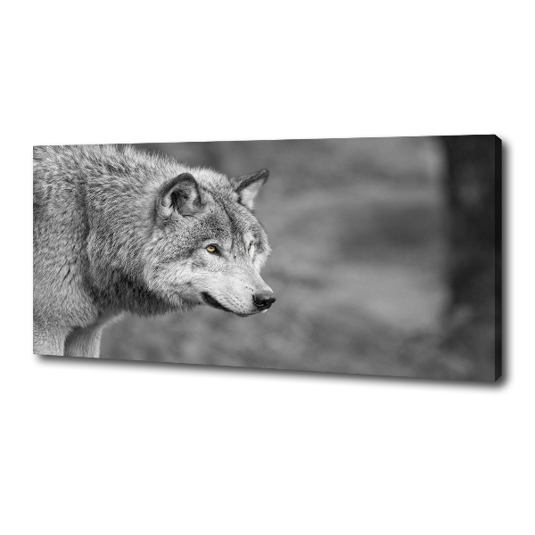 Cuadro canvas moderno de gran formato horizontal Lobo gris