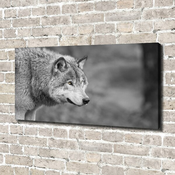 Cuadro canvas moderno de gran formato horizontal Lobo gris