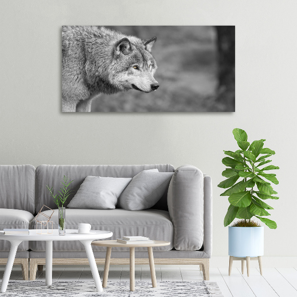 Cuadro canvas moderno de gran formato horizontal Lobo gris