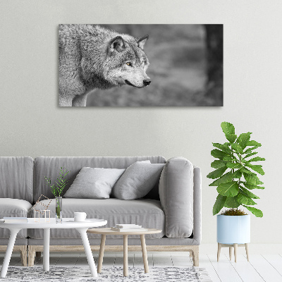 Cuadro canvas moderno de gran formato horizontal Lobo gris