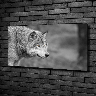 Cuadro canvas moderno de gran formato horizontal Lobo gris