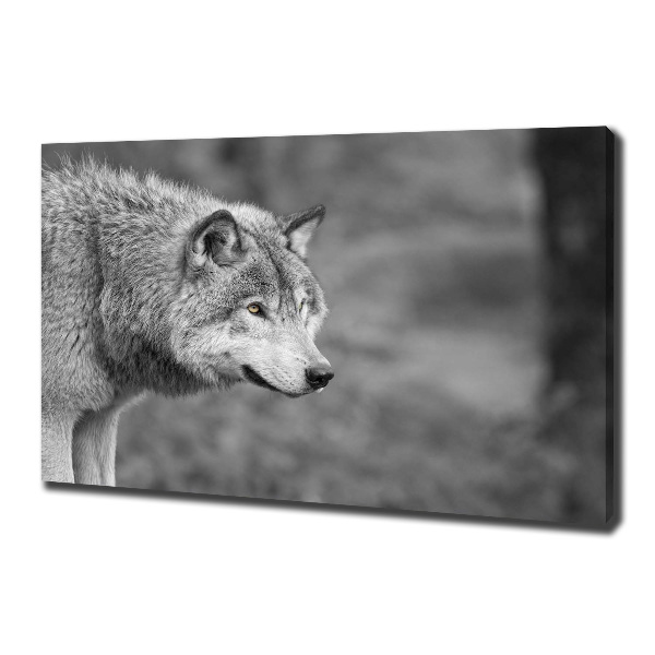 Cuadro canvas moderno de gran formato horizontal Lobo gris