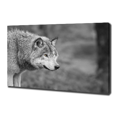 Cuadro canvas moderno de gran formato horizontal Lobo gris