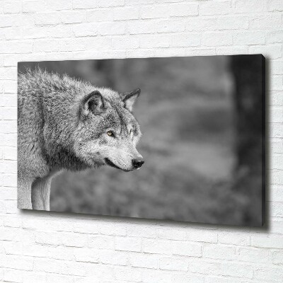Cuadro canvas moderno de gran formato horizontal Lobo gris