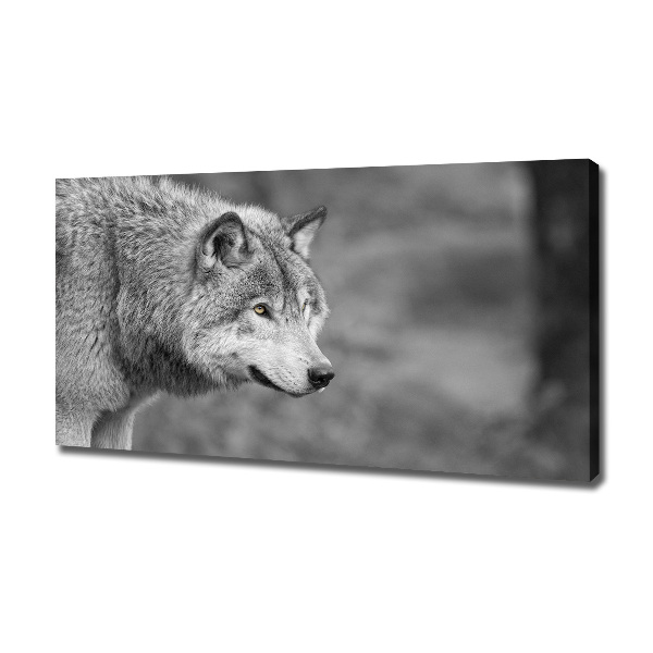 Cuadro canvas moderno de gran formato horizontal Lobo gris
