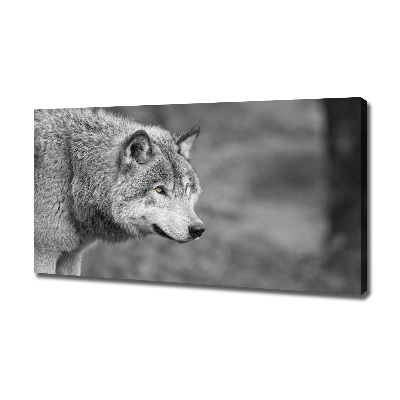 Cuadro canvas moderno de gran formato horizontal Lobo gris