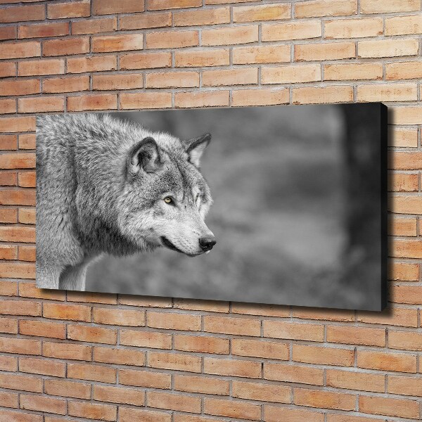 Cuadro canvas moderno de gran formato horizontal Lobo gris