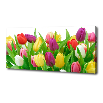 Cuadro canvas con impresión uv duradera horizontal tulipanes coloridos