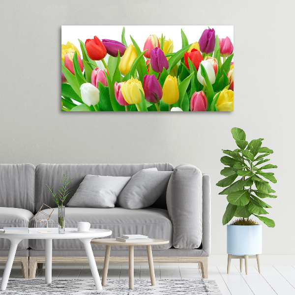 Cuadro canvas con impresión uv duradera horizontal tulipanes coloridos