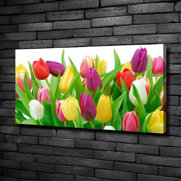 Cuadro canvas con impresión uv duradera horizontal tulipanes coloridos
