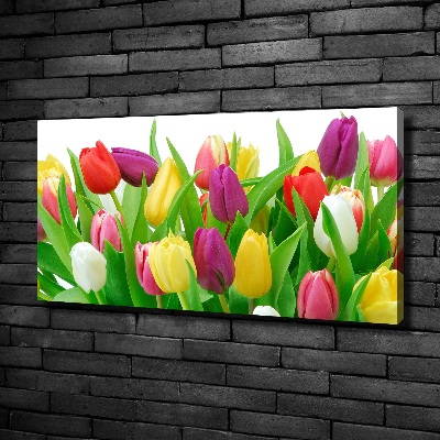 Cuadro canvas con impresión uv duradera horizontal tulipanes coloridos
