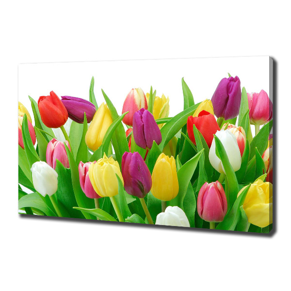 Cuadro canvas con impresión uv duradera horizontal tulipanes coloridos