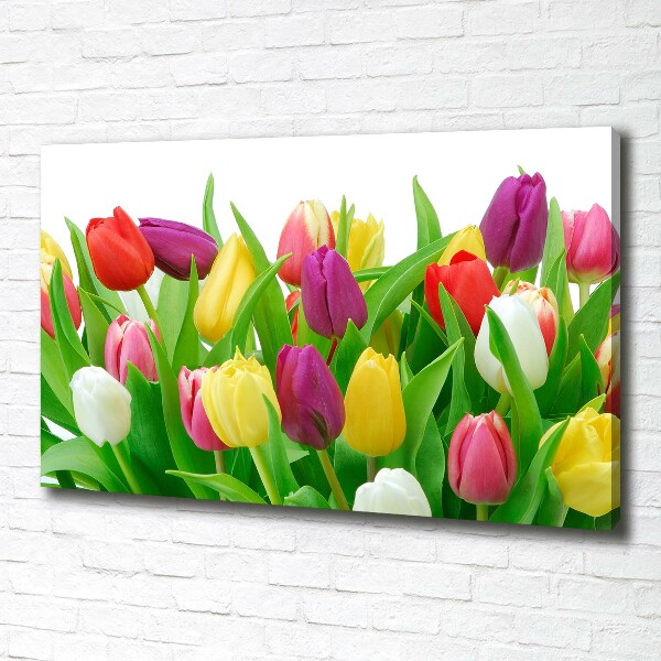 Cuadro canvas con impresión uv duradera horizontal tulipanes coloridos