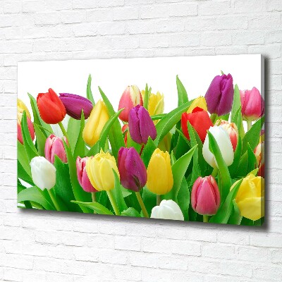 Cuadro canvas con impresión uv duradera horizontal tulipanes coloridos