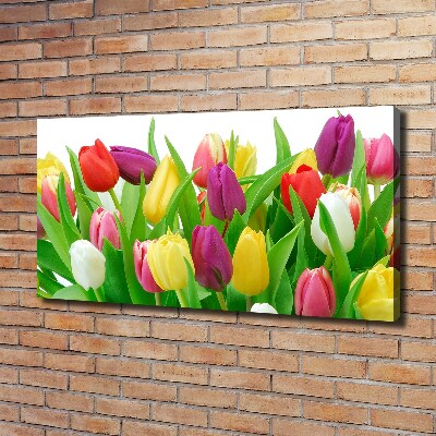 Cuadro canvas con impresión uv duradera horizontal tulipanes coloridos
