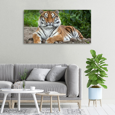 Cuadro canvas con impresión uv duradera horizontal tigre siberiano